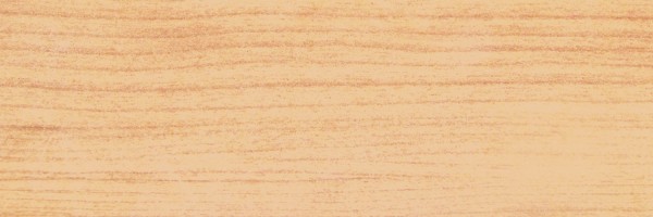 Twitter New Header Image 00687