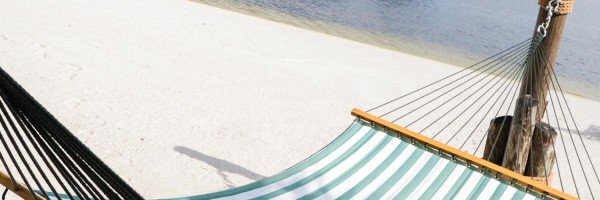 Twitter New Header Image 00696