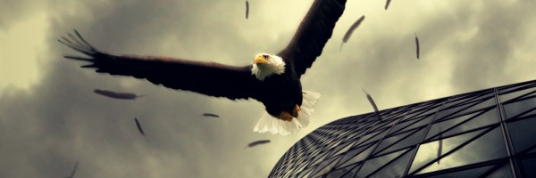 Twitter New Header Image 00701