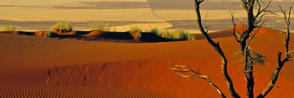 Twitter New Header Image 00706