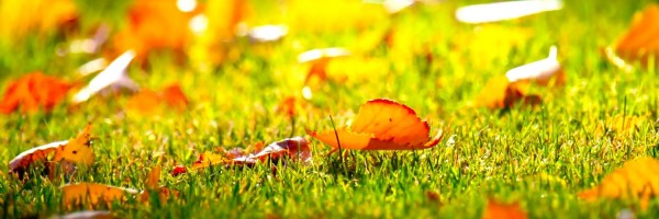 Twitter New Header Image 00708