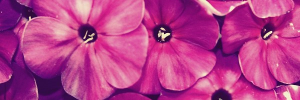 Twitter New Header Image 00711