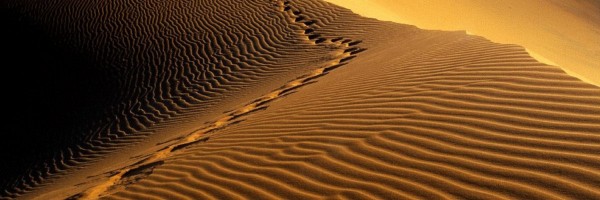 Twitter New Header Image 00715