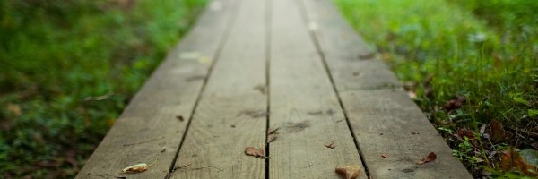 Twitter New Header Image 00719