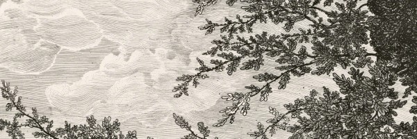 Twitter New Header Image 00722