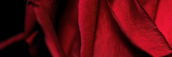 Twitter New Header Image 00731