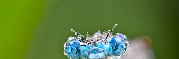 Twitter New Header Image 00738