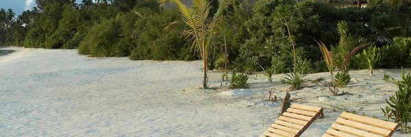 Twitter New Header Image 00759