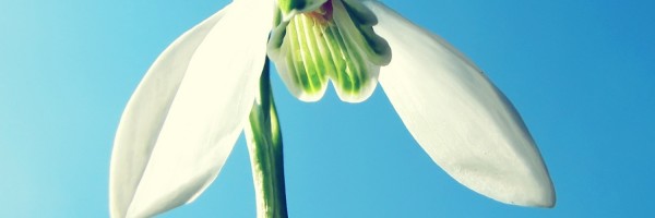 Twitter New Header Image 00774