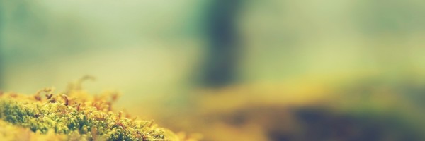 Twitter New Header Image 00777