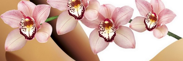 Twitter New Header Image 00790