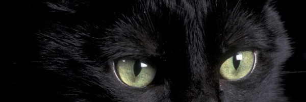 Twitter New Header Image 00794