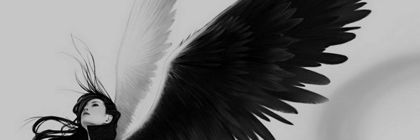 Twitter New Header Image 00796