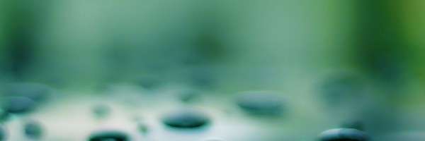 Twitter New Header Image 00808