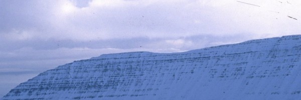 Twitter New Header Image 00810