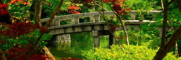 Twitter New Header Image 00813