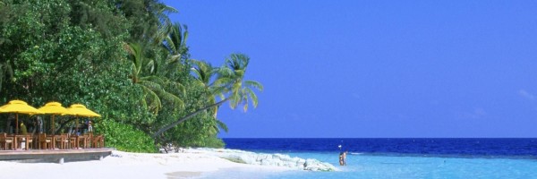 Twitter New Header Image 00824