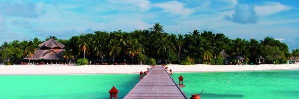 Twitter New Header Image 00834