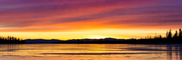 Twitter New Header Image 00850