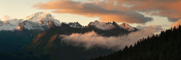 Twitter New Header Image 00852