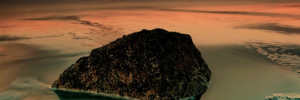 Twitter New Header Image 00854