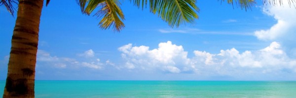 Twitter New Header Image 00855