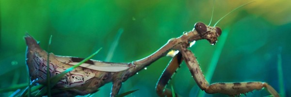 Twitter New Header Image 00889