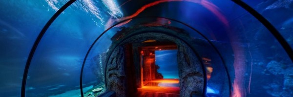 Twitter New Header Image 00907