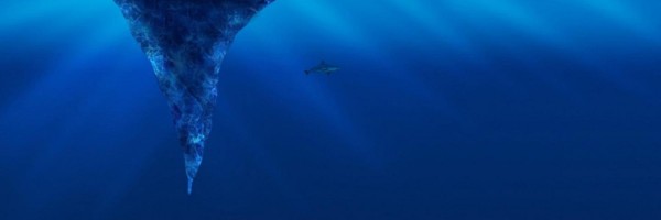 Twitter New Header Image 00960