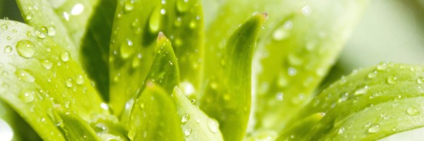 Twitter New Header Image 00994