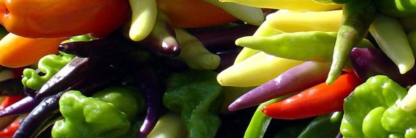 Twitter New Header Image 00995