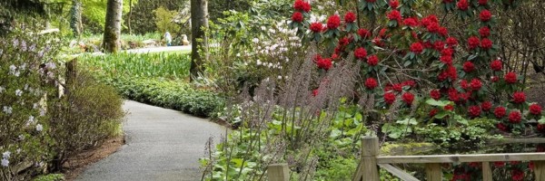 Twitter New Header Image 00998