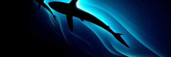 Twitter New Header Image 01013