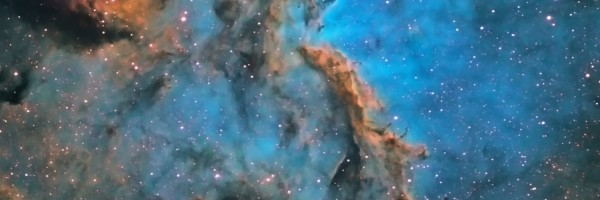 Twitter New Header Image 01044