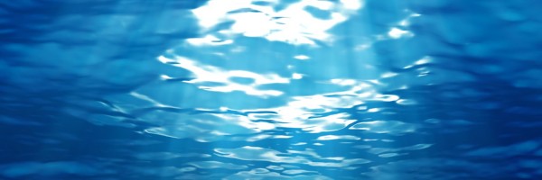 Twitter New Header Image 01051