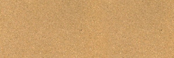 Twitter New Header Image 01064