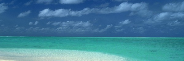 Twitter New Header Image 01087