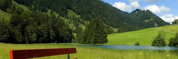 Twitter New Header Image 01088