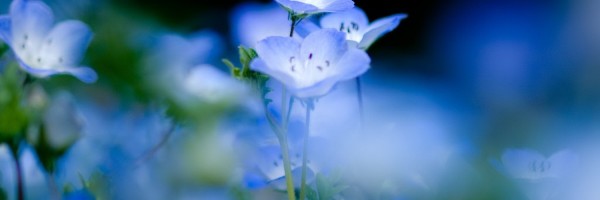 Twitter New Header Image 01098