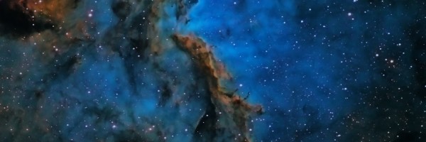 Twitter New Header Image 01110