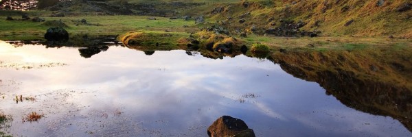 Twitter New Header Image 01132