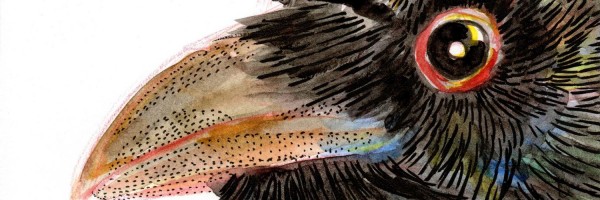 Twitter New Header Image 01147