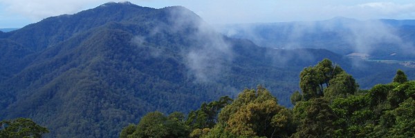 Twitter New Header Image 01182