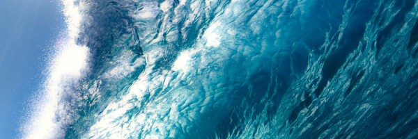 Twitter New Header Image 01188