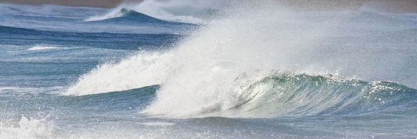 Twitter New Header Image 01189