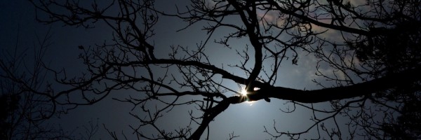 Twitter New Header Image 01190