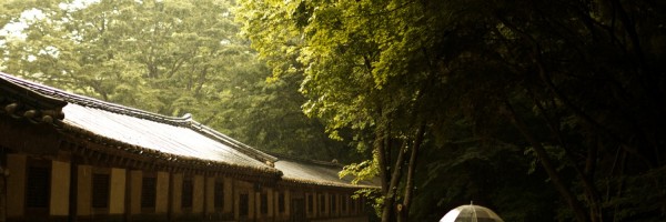 Twitter New Header Image 01193