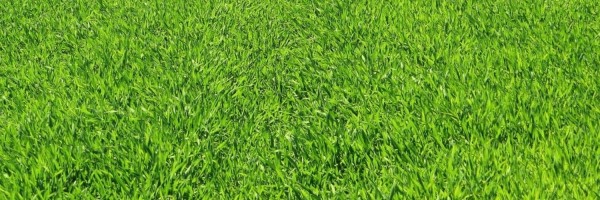 Twitter New Header Image 01226