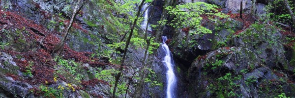 Twitter New Header Image 01235