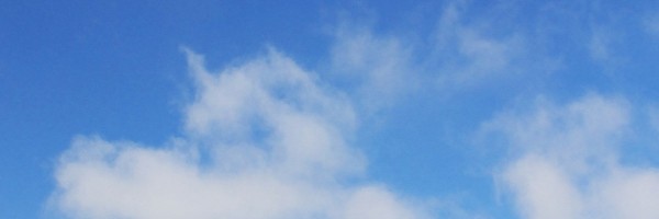 Twitter New Header Image 01239